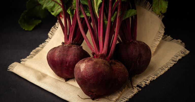 beterraba